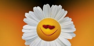 VACANCES SUR TERRE ET SEXE AU PARADIS